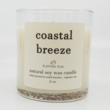 Load image into Gallery viewer, Coastal Breeze 9oz Glass Candle