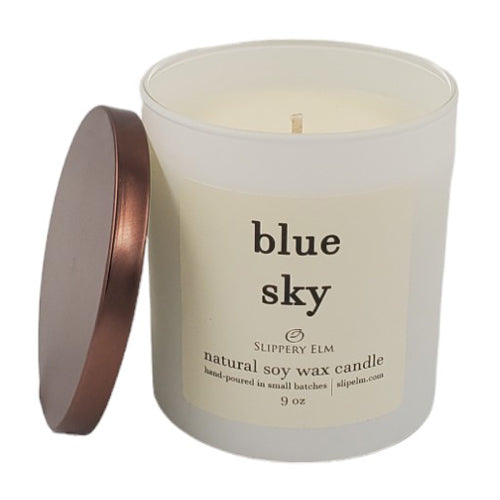 Blue Sky 9oz Boulevard Matte White Glass Candle