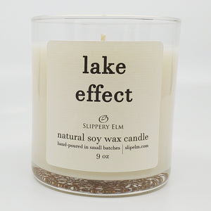 Lake Effect 9oz Glass Candle