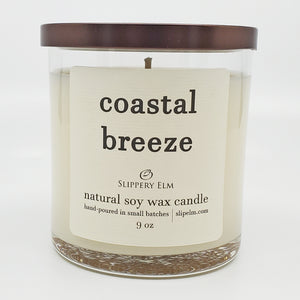 Coastal Breeze 9oz Glass Candle